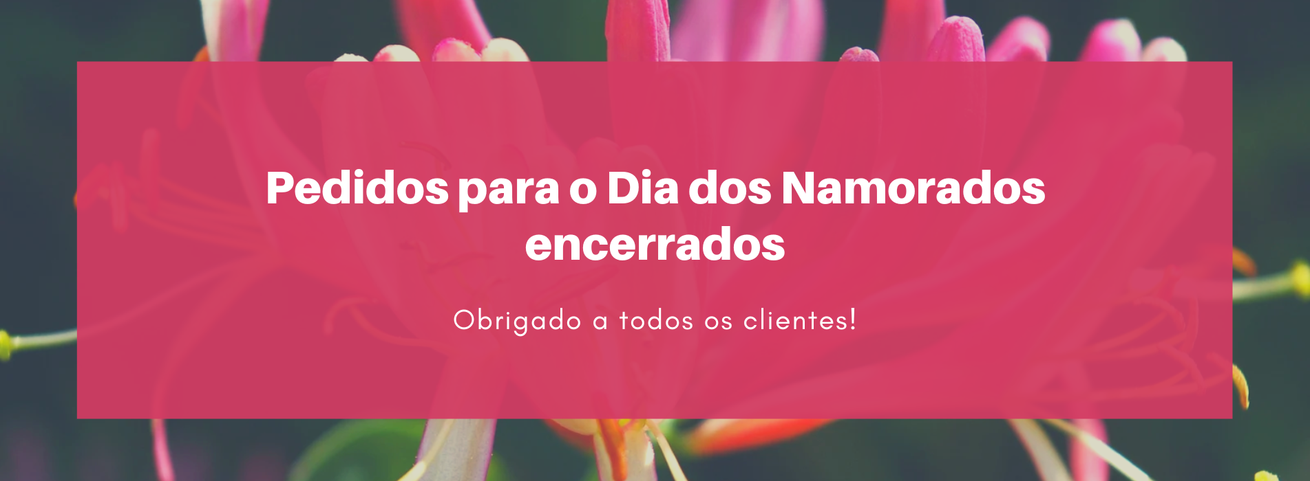 Pedidos encerrados